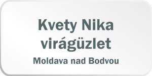 Kvety Nika virágüzlet - adománygyűjtő doboz lett kihelyezve